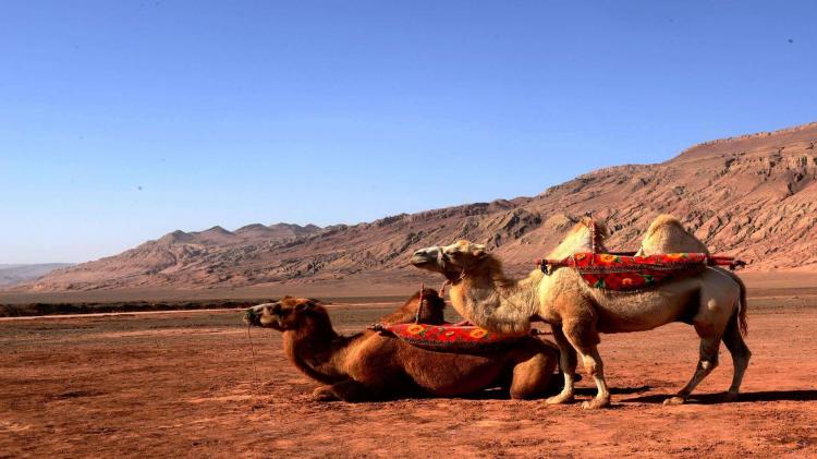 西北地区包括哪几个省