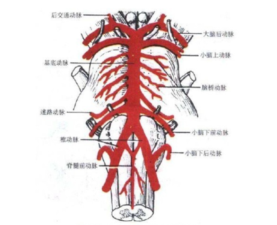 扭脖子杀人原理