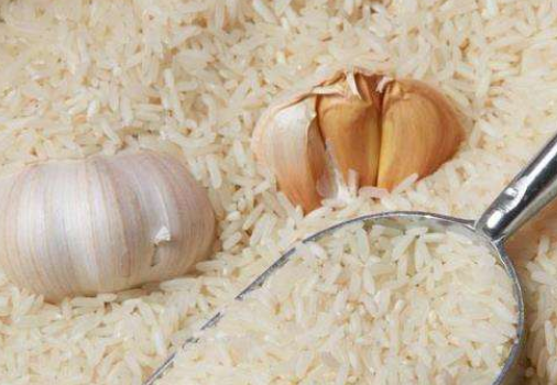 大米怎么保存不生虫子不发霉