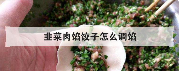 韭菜肉馅饺子怎么调馅