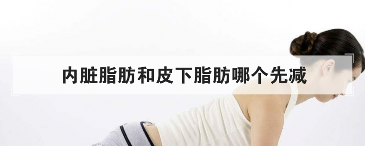 内脏脂肪和皮下脂肪哪个先减