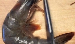 年夜饭之花开富贵虾怎么做