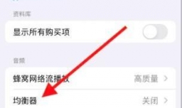 iPhone音乐app如何设定诵读音乐均衡模式