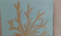 珊瑚简笔画怎么画