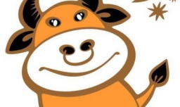 属牛和什么属相最配