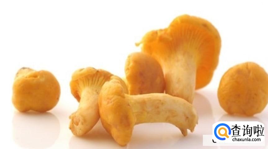 蘑菇怎样保存和保鲜