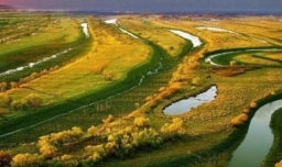 地球之肾是什么