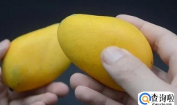挑选芒果的方式