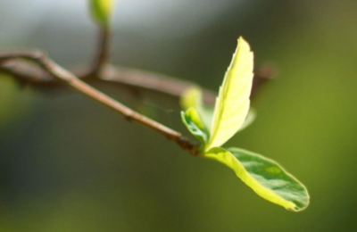 立春是什么时候?