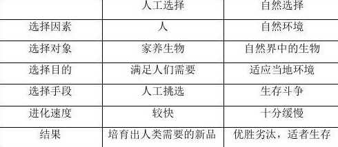 人工选择和自然选择的区别