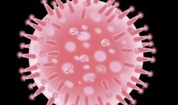 预防甲流应该打疫苗吗