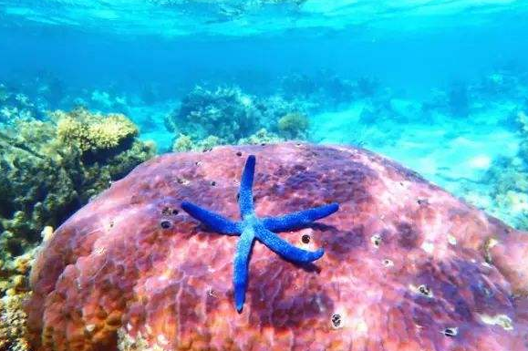 世界最深的海沟