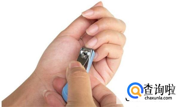 指甲往肉下面长要用选哪种指甲钳好