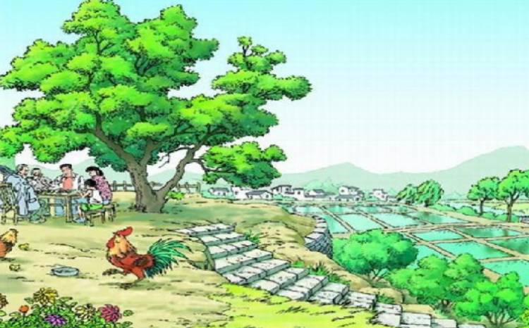 乡下人家课文全文