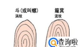 手指上几个斗代表不同的命运，你知道吗