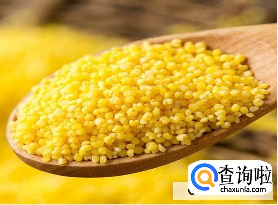 粮食小米哪里好