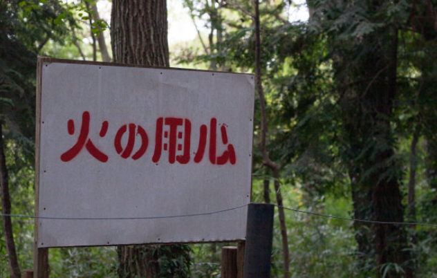 森林防火知识有哪些