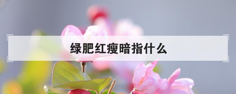 绿肥红瘦暗指什么