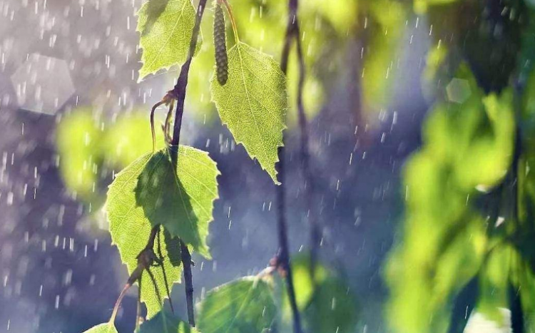 梅雨期的特点