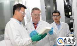 员工应该如何利用公司给予的股票奖励