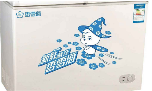 冰柜排行榜前十名家用