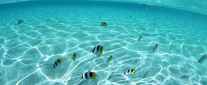 为什么海水是咸的