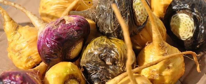 玛咖是什么东西