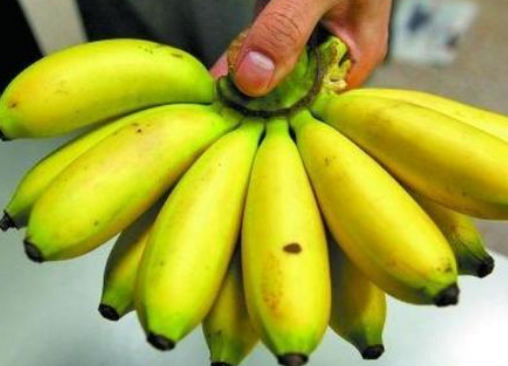 香蕉和芭蕉的区别