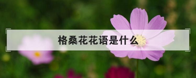 格桑花花语是什么
