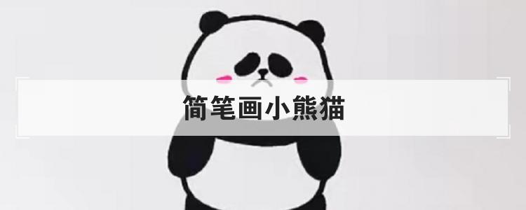 简笔画小熊猫