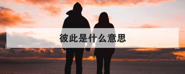彼此是什么意思