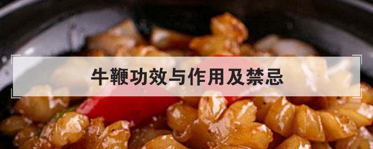牛鞭功效与作用及禁忌