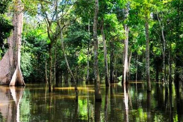 世界上水能资源最丰富的国家