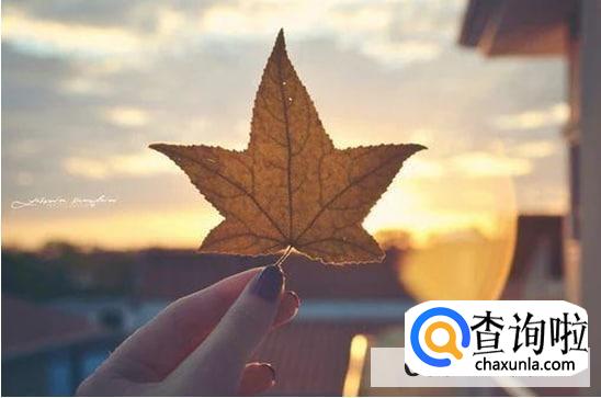 如何让自己不想太多不焦虑