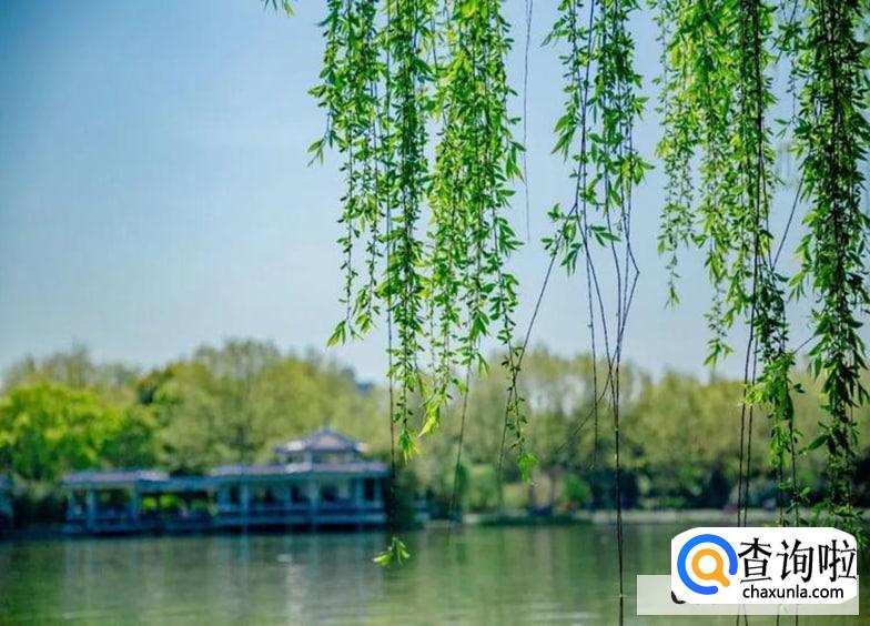 清明节有什么活动