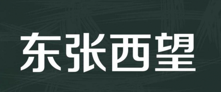 东张西望是什么意思