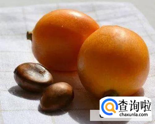 枇杷核怎么吃最好