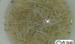 银鱼干怎么泡发