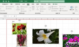 表格图片如何统一调整大小