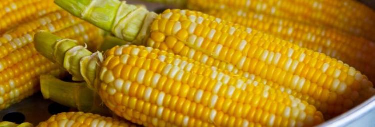 秋天丰收的农作物有什么