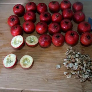 冰糖葫芦的做法