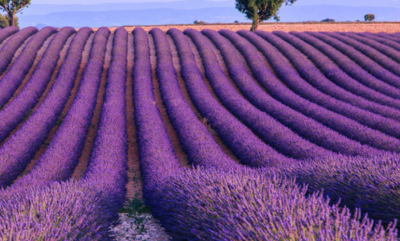 怀柔有什么好玩的地方