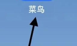 菜鸟APP如何查看地址簿