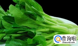 蔬菜泥怎么做给宝宝吃