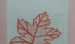 简笔画枫叶怎么画