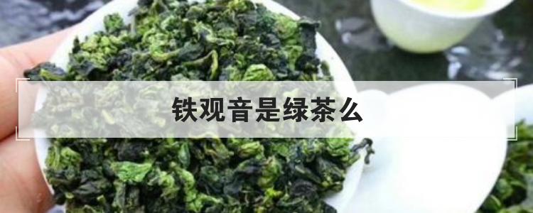 铁观音是绿茶么