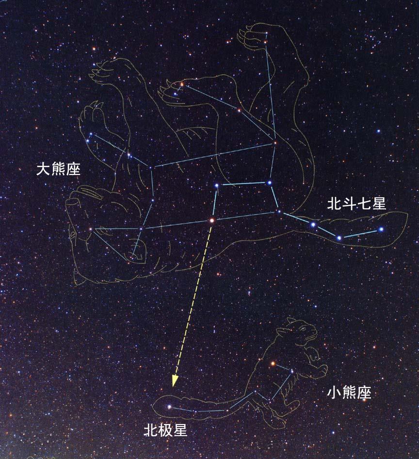 北斗星的动物是什么动物