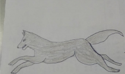 奔跑中的狼怎么画