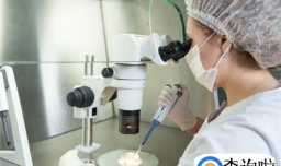 三代试管一次成功率高吗