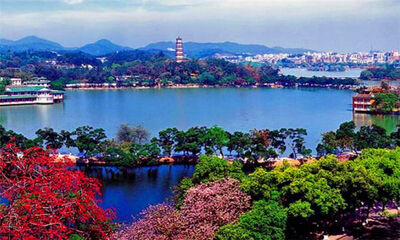 小金口是惠州哪个区